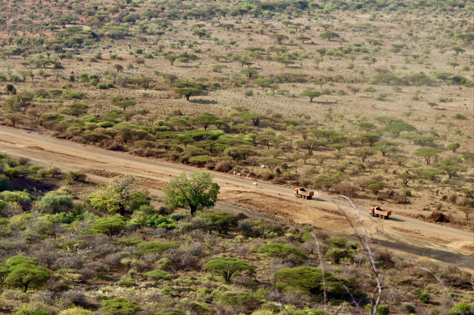 Land purchased for future ministry development